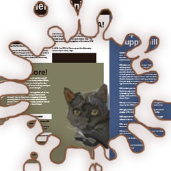 SPCA Info Graphic